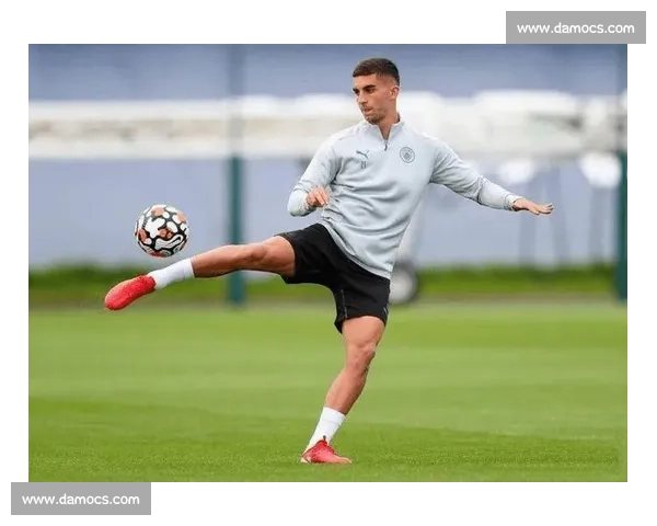 费兰 - 托雷斯:25 岁的射手野心与西班牙锋线的黄金迭代